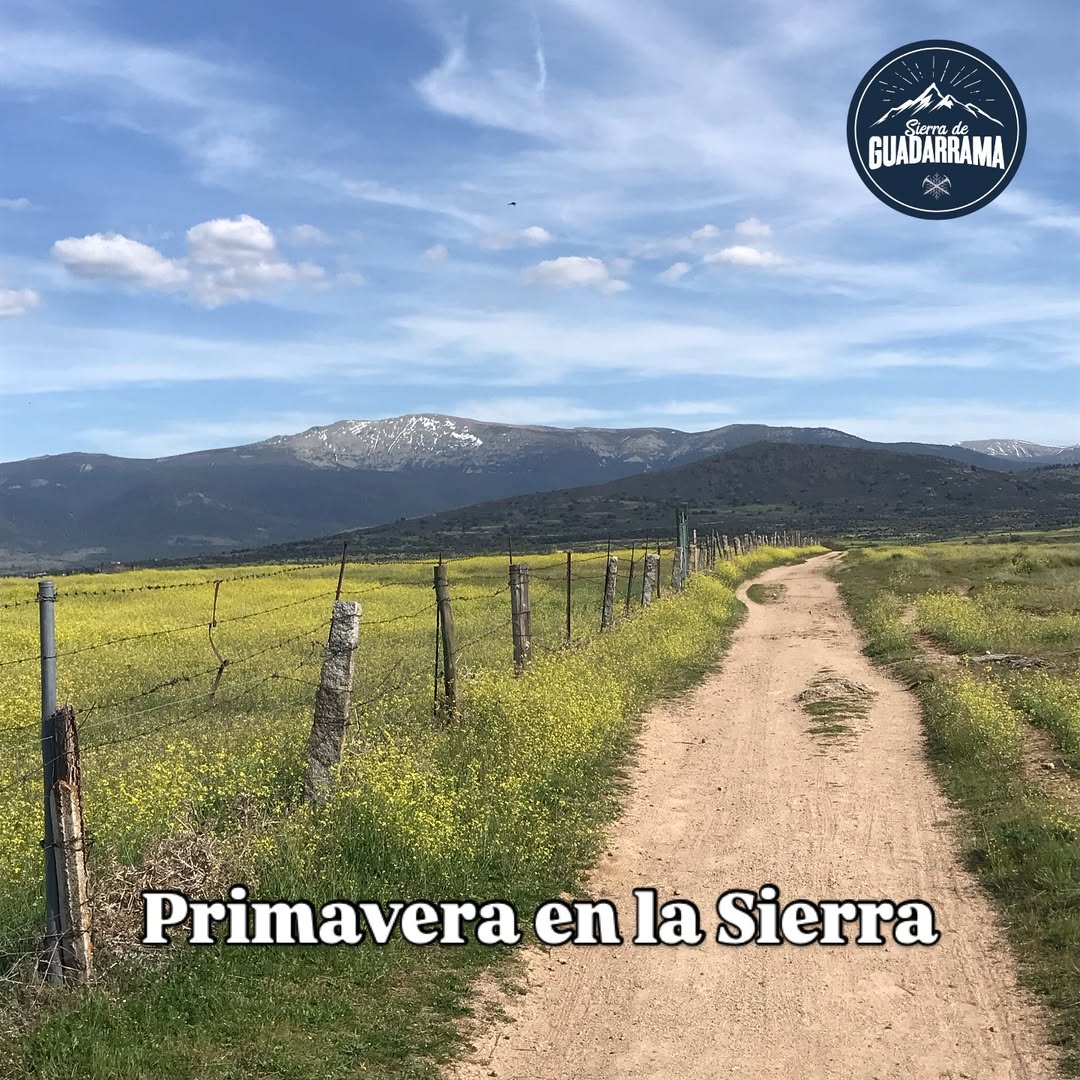 El verano avanza en la sierra entre días frescos, tormentas y olas de calor.Algunos como un serv(14)