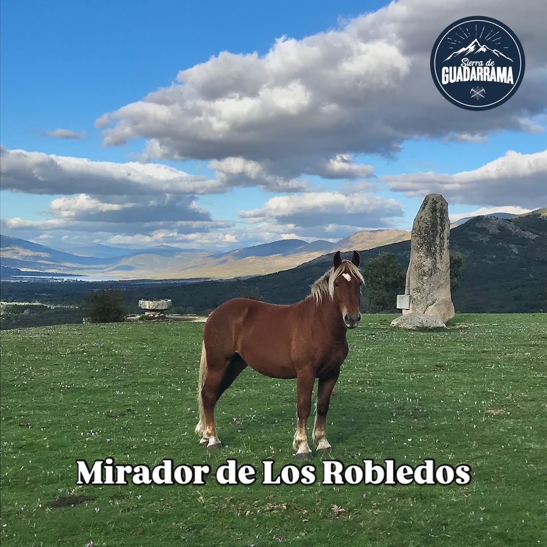 El verano avanza en la sierra entre días frescos, tormentas y olas de calor.Algunos como un serv(5)